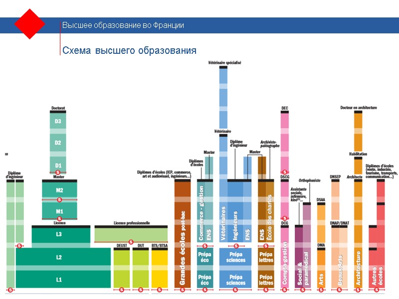 Схема высшего образования